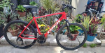 Men's Trek Dual Sport 2 Hybrid Bicycle.
