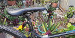 Haro Double Peak 29er MTB