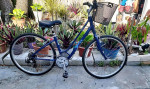 Women's Giant(Liv) Cypress Comfort Hybrid Bicycle