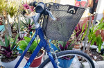 Women's Giant(Liv) Cypress Comfort Hybrid Bicycle