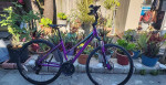 Women's Jamis Dxt Spor Hybrid Bicycle