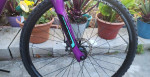 Women's Jamis Dxt Spor Hybrid Bicycle