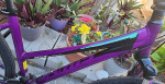 Women's Jamis Dxt Spor Hybrid Bicycle