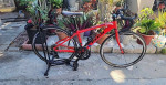 Fuji Ace Road Bicycle