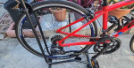 Fuji Ace Road Bicycle