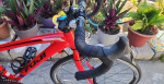 Fuji Ace Road Bicycle