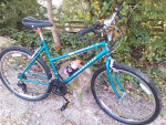 Roadmaster USA Chromium Edition
