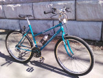 Roadmaster USA Chromium Edition