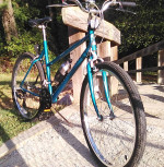 Roadmaster USA Chromium Edition