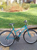 Roadmaster USA Chromium Edition