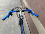 Custom 700c TREK Gravel bike
