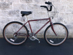 Schwinn 6-speed cruiser MEDIUM for 5'4" to 5’10” .. WIDE SEAT!!!