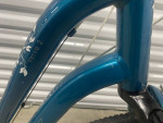 Trek Verse 2 Step-thru Hybrid Bike