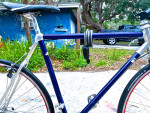 BICYCLE VITUS 700" CARBON FIBER ROAD BIKE - (VERY GOOD Cond)