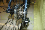 New Hybrid Batch Lifestyle Large 20"