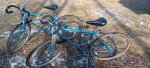 raleigh  bikes