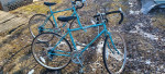 raleigh  bikes