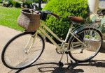 Schwinn Women's 700c/28" Hybrid Bike in Cream