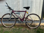 Vintage ProFlex 555 Mountain Bike