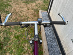 Vintage ProFlex 555 Mountain Bike