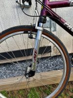 Vintage ProFlex 555 Mountain Bike