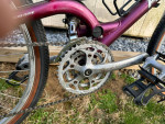 Vintage ProFlex 555 Mountain Bike