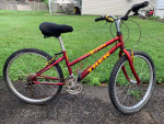 TREK Mountain Track 220 girls 24” mountain bicycle
