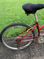 TREK Mountain Track 220 girls 24” mountain bicycle