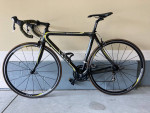 Carbon Beluga Custom 54cm