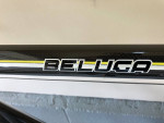 Carbon Beluga Custom 54cm