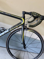 Carbon Beluga Custom 54cm