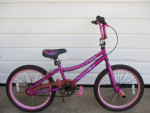 Beautiful Girls 20" Bicycle with Fantastic Color & Rear Coaster Brake
