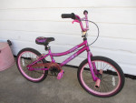 Beautiful Girls 20" Bicycle with Fantastic Color & Rear Coaster Brake