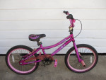 Beautiful Girls 20" Bicycle with Fantastic Color & Rear Coaster Brake