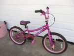 Beautiful Girls 20" Bicycle with Fantastic Color & Rear Coaster Brake