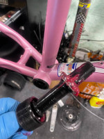 tune ups and repairs and sales