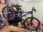 giant liv bliss high quality comfort bike for women