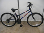 Trek 220