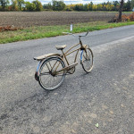Evans colson men's bicycle