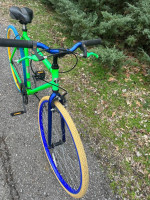 Thruster fixie Singlespeed bike