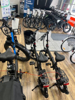 Electric Bikes
