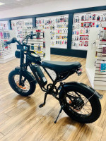 Electric bike