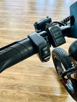 Electric bike