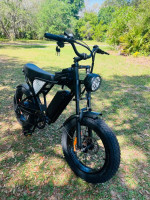 1000W E-BIKE New