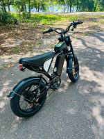 1000W E-BIKE New