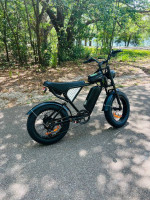 1000W E-BIKE New
