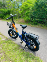 1000W e-bike NEW $15 Down