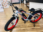 1000W Electric Bike $16 down