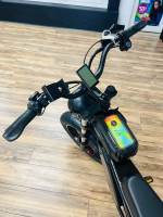 1000W Electric Bike