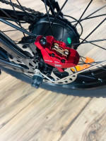 1000W Electric Bike